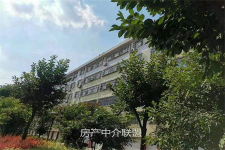 城东理想家园4室2厅2卫99.8万128m2出售